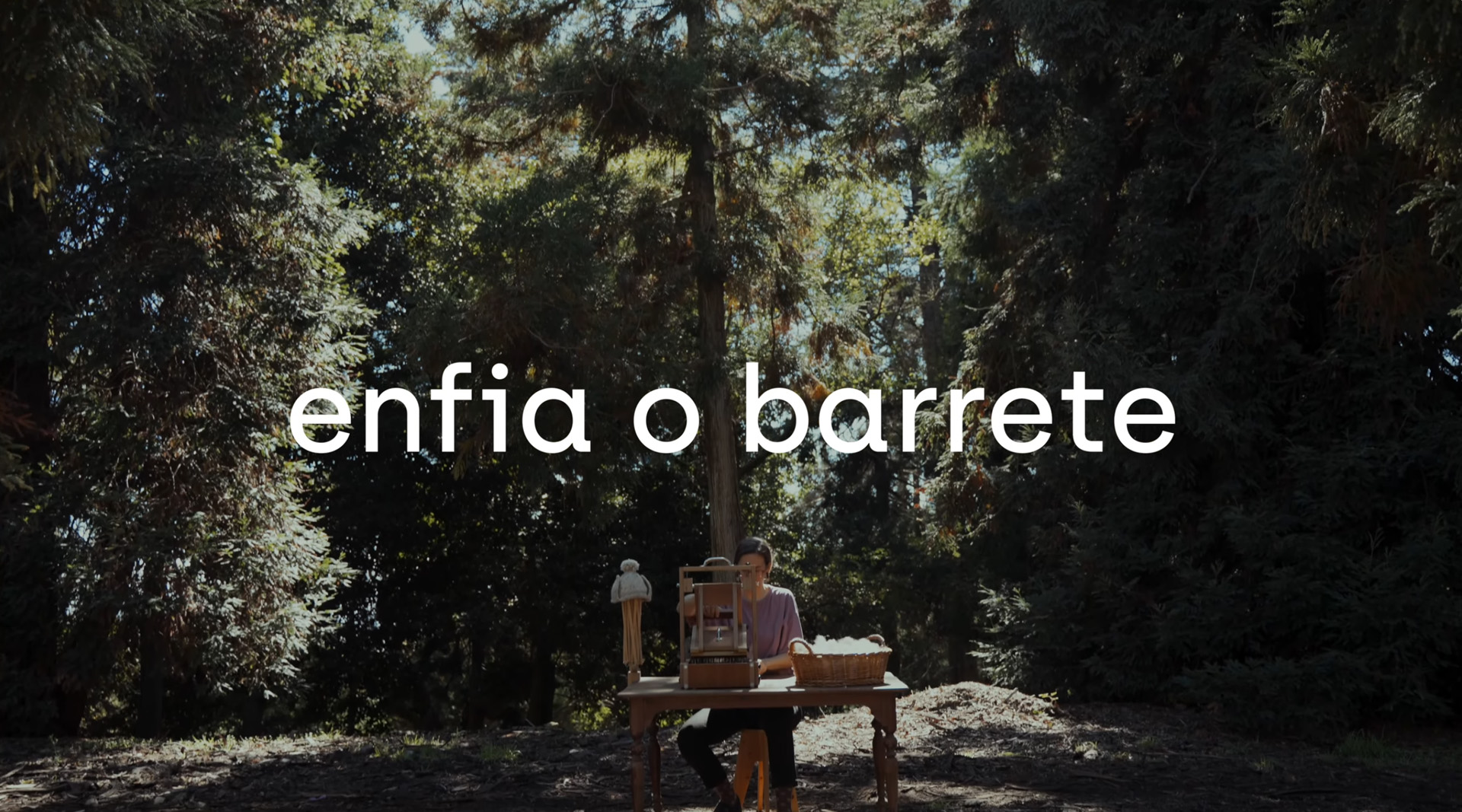 Enfia o Barrete