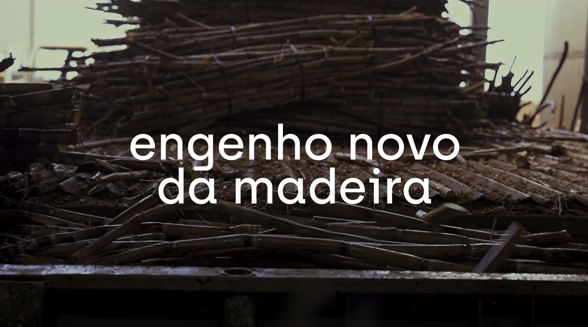 Engenho Novo da Madeira