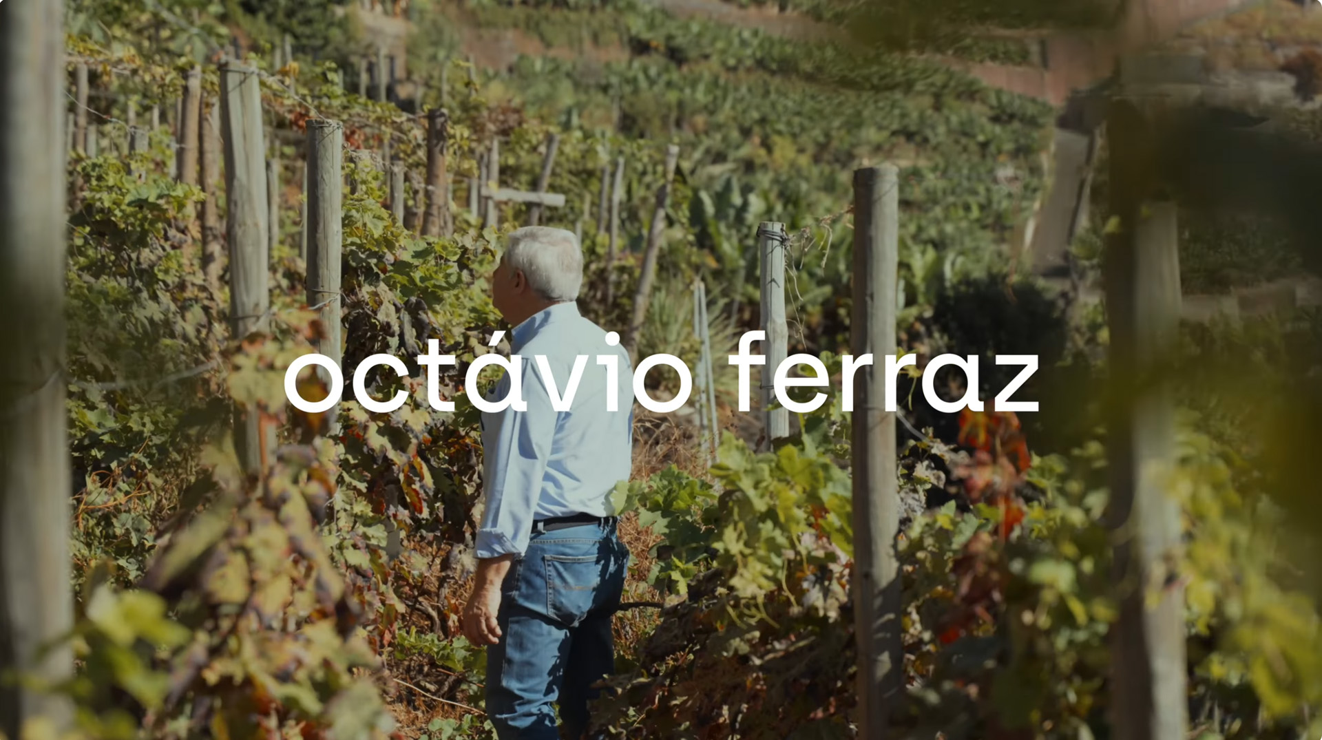 Octávio Ferraz